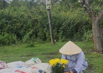 Lễ Phóng Sinh Chư Ngư Nhân Mùa Phật Đản – Phật lịch: 2569 – Dương lịch: 2025 | Đạo tràng Tự Tâm – Tp. Ban Mê Thuột – Chuatutam.net