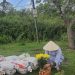 Lễ Phóng Sinh Chư Ngư Nhân Mùa Phật Đản – Phật lịch: 2569 – Dương lịch: 2025 | Đạo tràng Tự Tâm – Tp. Ban Mê Thuột – Chuatutam.net