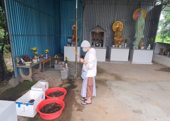 Lễ Phóng Sinh Chư Ngư Ngày Rằm Tháng 6 – Phật lịch: 2569 – Dương lịch: 2025 | Đạo tràng Tự Tâm – Tp. Ban Mê Thuột – Chuatutam.net