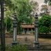 VỀ THĂM CHỐN TỔ | Nhất Thanh Thích Nguyên Hiền