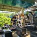 CÔ TRÒ DÂNG CÚNG NƠI NGHĨA TRANG THAI NHI MÙA PHẬT ĐẢN – PL.2570 – DL.2026
