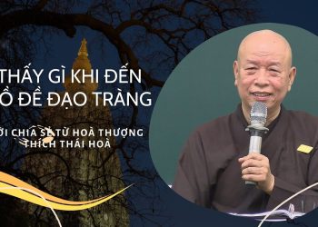 Thấy gì khi đến Bồ Đề Đạo Tràng – Lời chia sẻ từ Hoà thượng Thích Thái Hoà.