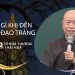 Thấy gì khi đến Bồ Đề Đạo Tràng – Lời chia sẻ từ Hoà thượng Thích Thái Hoà.