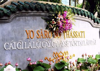 Cái gì là lõi cây